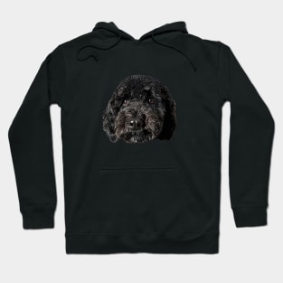 Cockapoo Cockerpoo Black Puppy Dog Hoodie